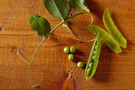 Overhead view of peas in pods on wooden background. Health eating concept. Homegrown food. Copy spaceの写真素材