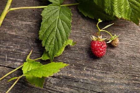 Close-up view of raspberries on wooden background. Copy space Home garden. Healthy eating concept.の写真素材