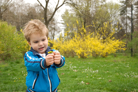 Little boy holding flowersの写真素材
