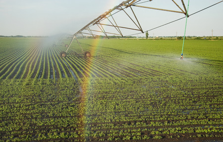Rainbow on the sprinkler system cropsの写真素材
