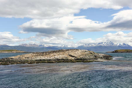 Cormorants in the Beagle Channel (Ushuaia - Argentina)の写真素材