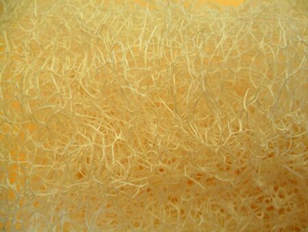 Fibre of  of vegetarian,