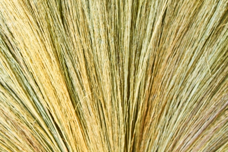 dry grass cleaning mobの写真素材