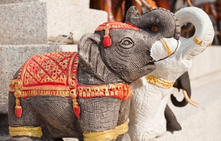 couple of elephantの写真素材