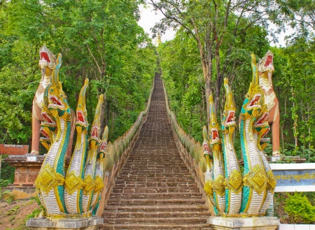 long stair with nagasの写真素材