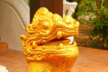 golden lion head