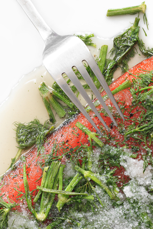 Marinated salmon with dill and black pepperの写真素材