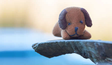 Natural Dog Toy on backgroundの写真素材