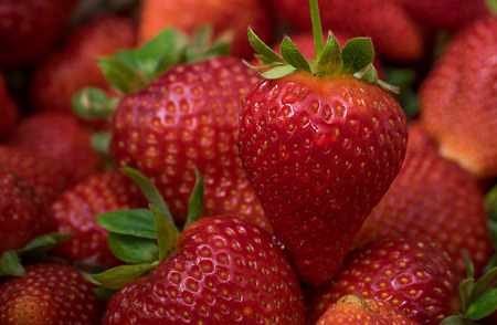 Close up of fresh strawberriesの写真素材