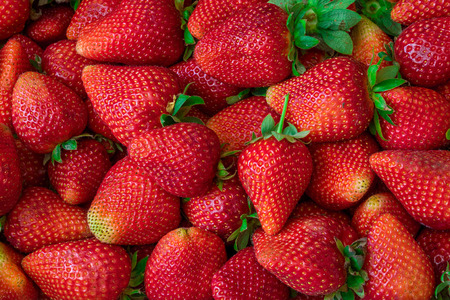 Fresh strawberries backgroundの写真素材