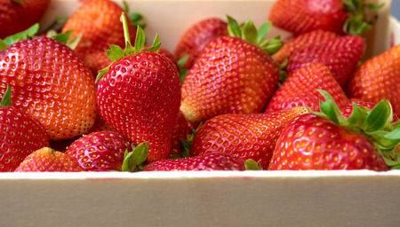 fresh strawberries in wooden boxの写真素材