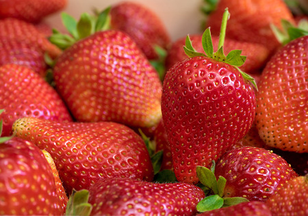 Close up of fresh strawberriesの写真素材