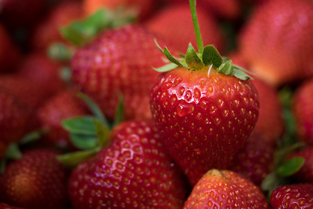 Close up of fresh strawberriesの写真素材