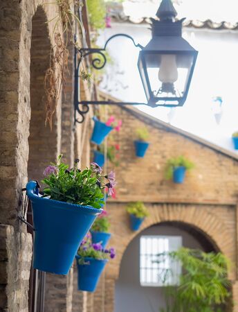 Detail of Courtyard (patio) of a typical house in Cordoba, Andalusia, Spainの写真素材