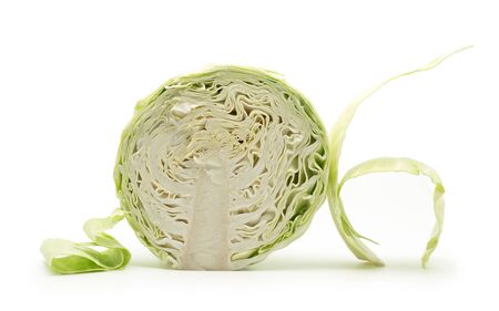 Artistic composion of a cabbage isolated on white backgroundの写真素材