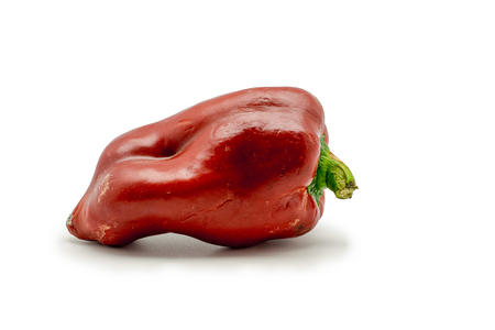 A red pepper in white background.の写真素材