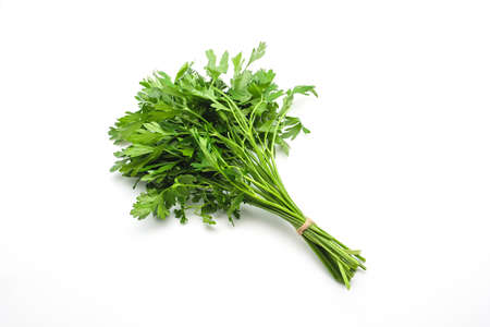 Fresh parsley on white backgroundの写真素材