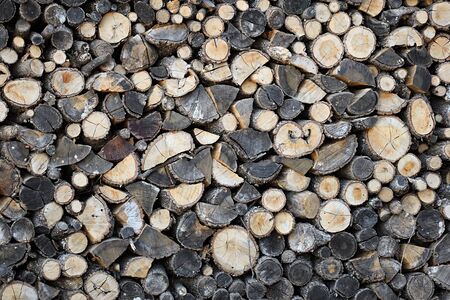 Pile of natural wooden logs backgroundの写真素材