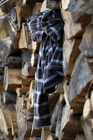 Clothes on pile of natural wooden logsの写真素材