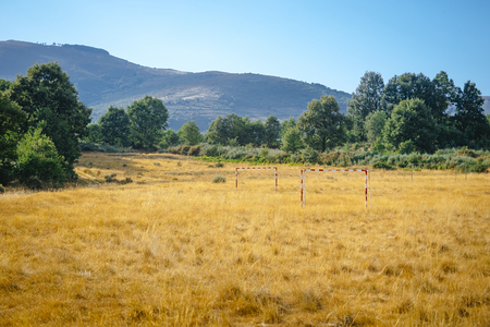 Desolate soccer field in the forestの写真素材