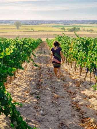 Woman walking in vineyardの写真素材
