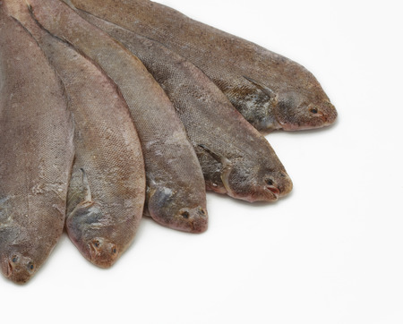 Close up of fresh small sole fishes on dishの写真素材