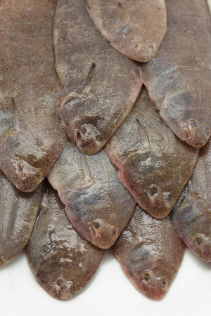 Close up of fresh small sole fishes on dishの写真素材