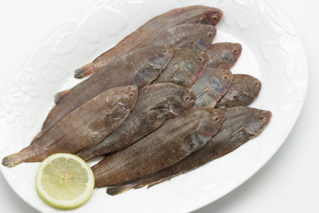 Fresh small sole fishes on dishの写真素材