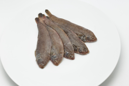 Raw sole fishes on white backgroundの写真素材