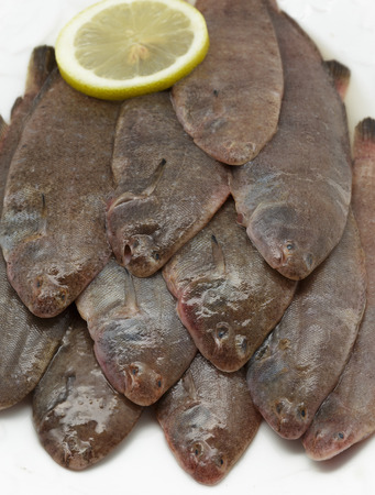 Close up of fresh small sole fishes on dishの写真素材