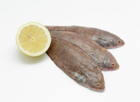 Fresh small sole fishes on white backgroundの写真素材