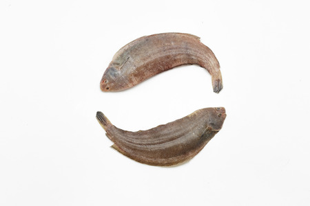 Two raw sole fishes on white backgroundの写真素材