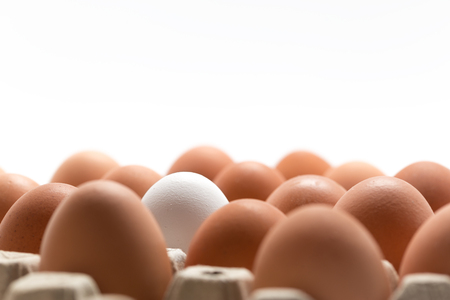 Fresh Eggs on White Backgroundの写真素材