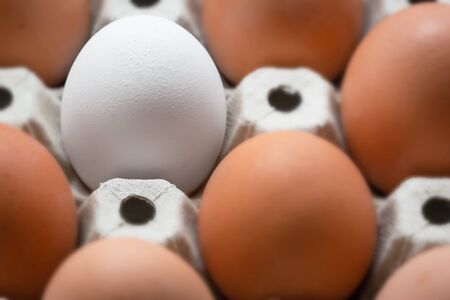 Be different. Close up of white egg surrounded by brown eggs in a box.