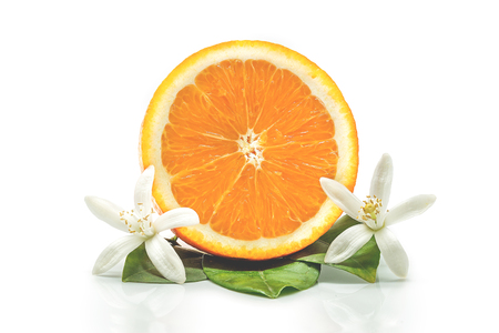Fresh orange with orange blossomの写真素材