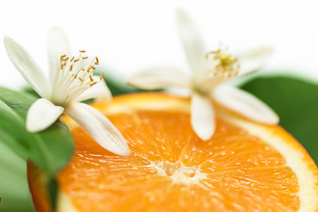 Close up of Orange fruit and blossom, Selective focusの写真素材