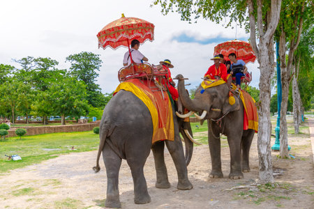 Ayutthaya, Thailand - July 27, 2014: Tourists on an ride elephant tour of the ancient city at Wat Yai chaimongkol in Ayutthaya, Thailandのeditorial素材