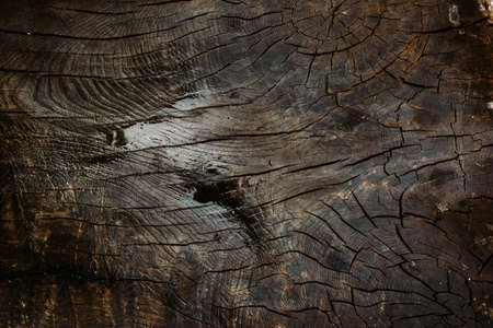 Old dark brown wooden backgroundの写真素材
