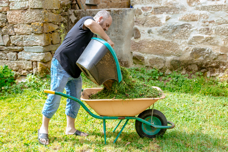 Man Working In Gardenの写真素材
