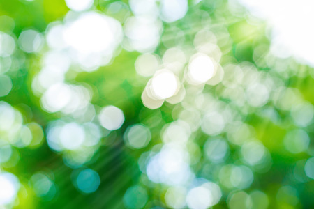 Summer lights background. Defocused abstract green lights.の写真素材