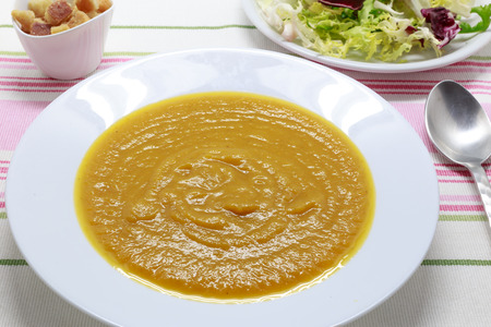 Tasty and healthy Pumpkin Puree. Pureed vegetablesの写真素材