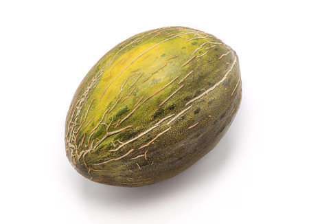 Green cantaloupe melon isolated on whiteの写真素材