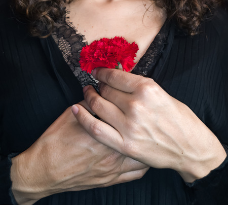 Close up of Female Hands Holding a red carnation against her chest.の写真素材