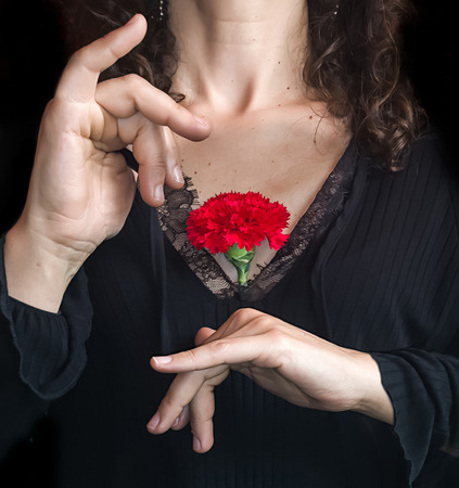 Close up of Female Hands Holding a red carnation against her chest.の写真素材