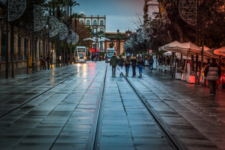 Seville, Spain - December 16, 2016: People walking during the Christmas days, From the lights in the center, more than 80 streets and plazas are illuminated this year, to the nativity scenes, chestnuts roasting, holiday markets and crowded shopping distriのeditorial素材