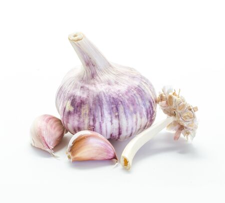 Colorful Garlic isolated on white backgroundの写真素材