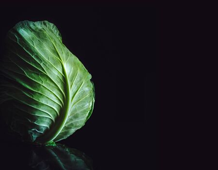 Fresh cabbage on black background with copy space. Vegan concept.の写真素材