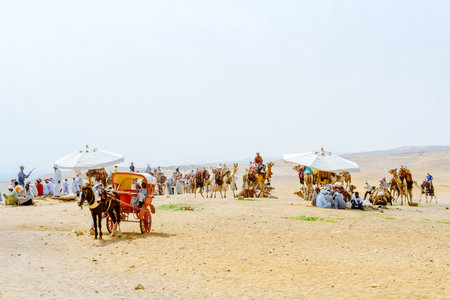 Cairo, Egypt - August 13, 2006: Bedouins with camels in desert Sahara. Giza. Egypt. UNESCO World Heritageのeditorial素材