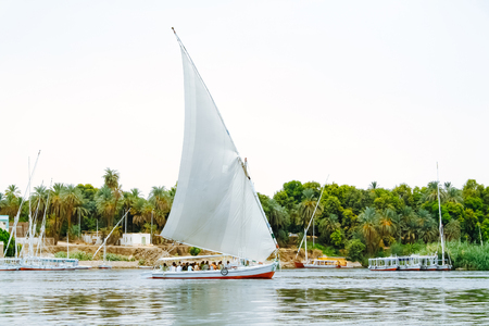 Felucca, traditional wooden sailboat on Nile, Egypt.の写真素材