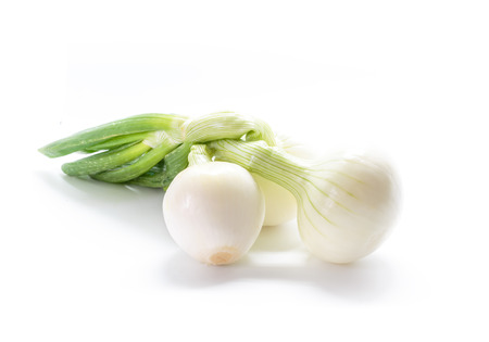 Green onions isolated on white background.の写真素材